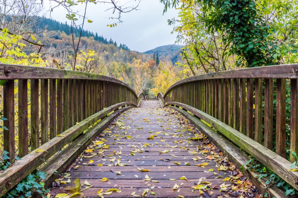 About RDD Method™, Rapid Drug Detox Center, Life Science RDD Services LLC